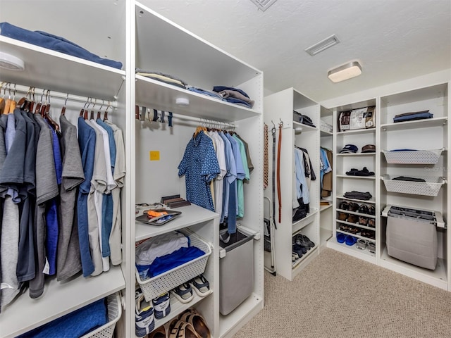 spacious closet with light colored carpet