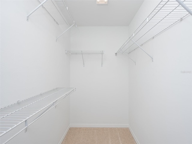 walk in closet with carpet