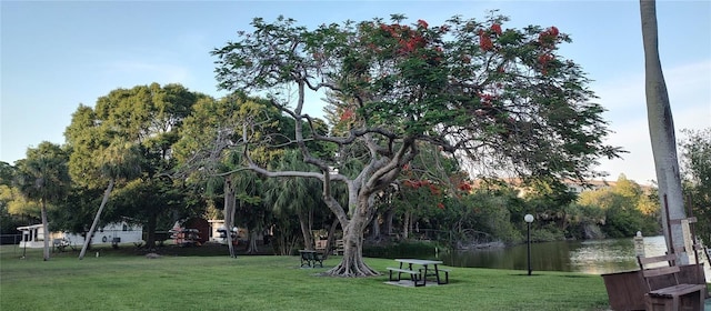 view of community featuring a water view and a yard