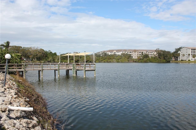 dock area with a water view