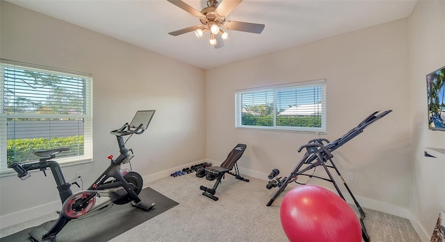 exercise area featuring ceiling fan, a healthy amount of sunlight, and carpet