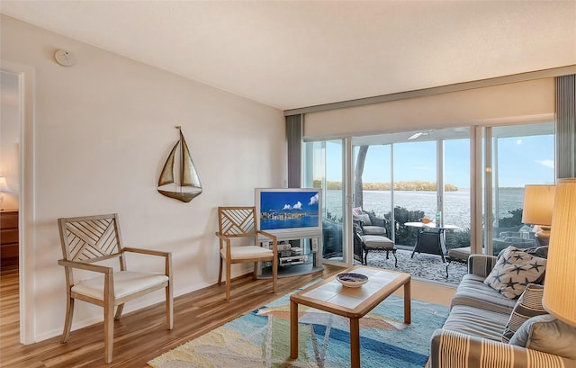 living room featuring hardwood / wood-style floors and a water view