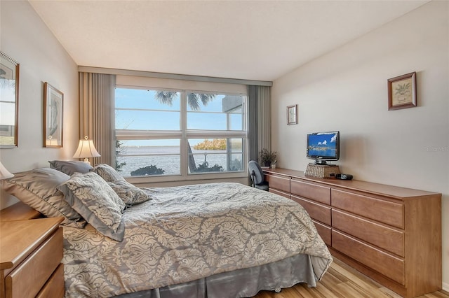 bedroom with light hardwood / wood-style flooring