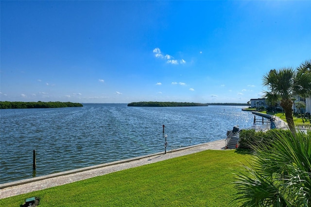 water view featuring a boat dock