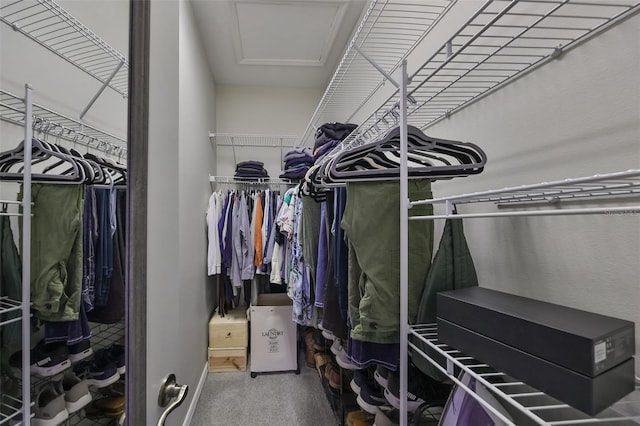 spacious closet with carpet floors