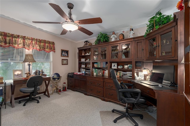 carpeted office space with ceiling fan and crown molding