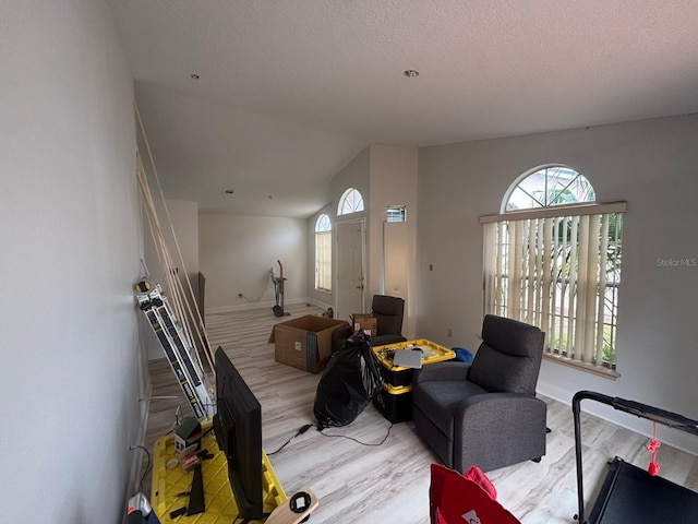 living room with light hardwood / wood-style floors and lofted ceiling