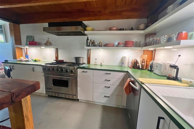 kitchen featuring white cabinets, ventilation hood, and stainless steel appliances