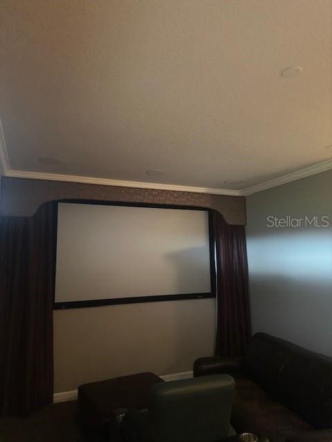 cinema room with crown molding