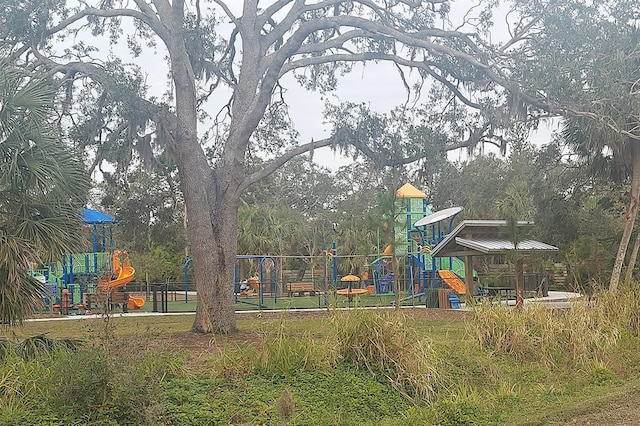 view of jungle gym