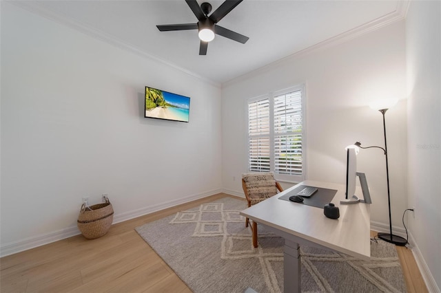 office with ceiling fan, light hardwood / wood-style floors, and crown molding