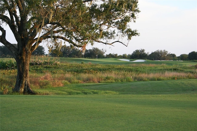 surrounding community featuring a yard