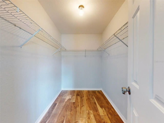 walk in closet with hardwood / wood-style flooring