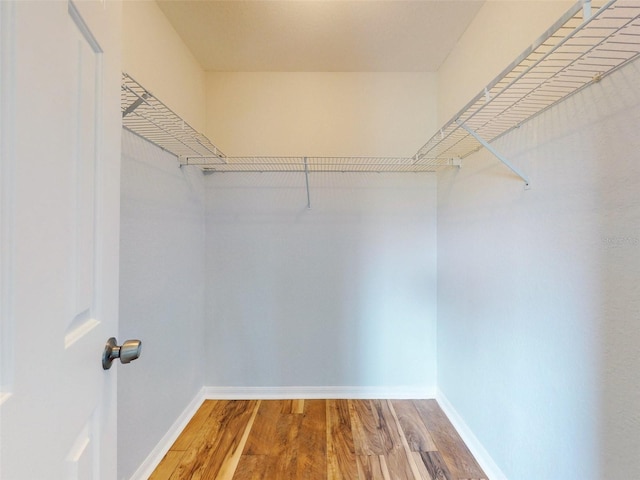 spacious closet with hardwood / wood-style floors