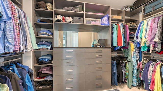 view of spacious closet