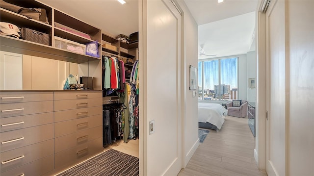 walk in closet featuring light hardwood / wood-style flooring