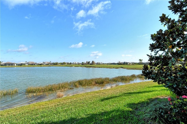 8052 Grande Shores Dr, Sarasota, FL 34240 - photo 60