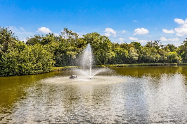 water view