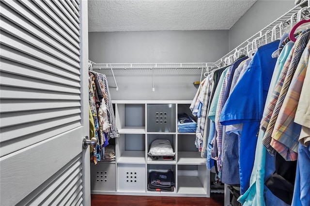 spacious closet with wood-type flooring