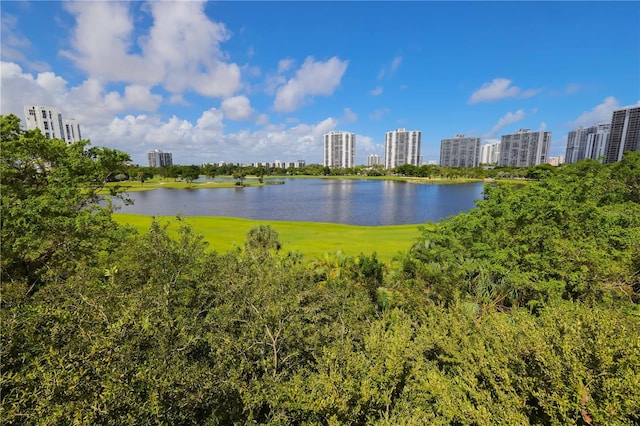 property view of water