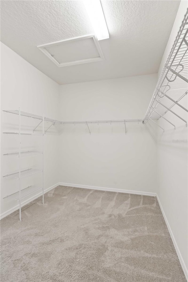 10531 Piedra Dr, Palmetto, FL 34221 - photo 28