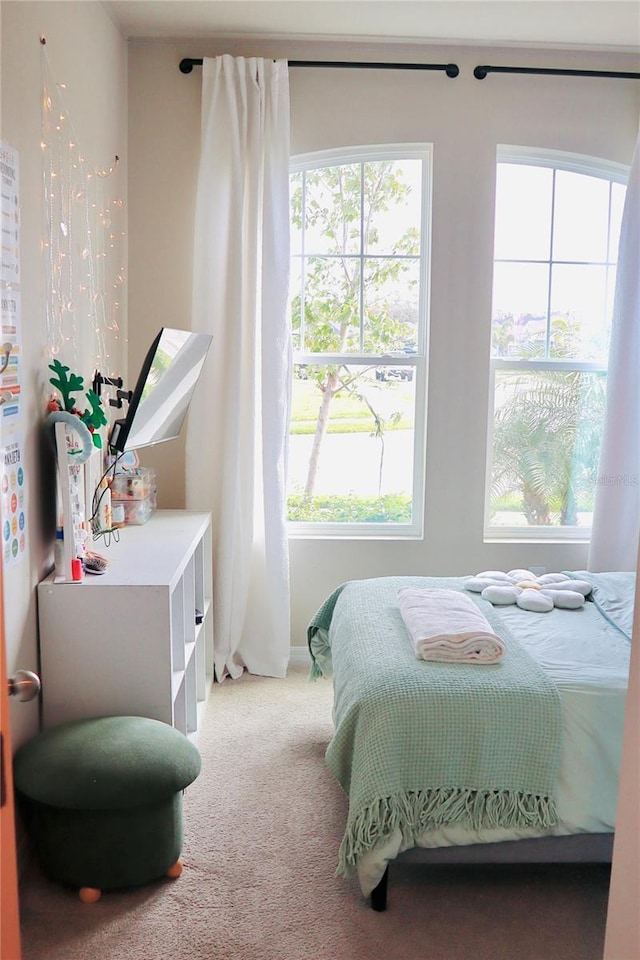 bedroom with carpet floors