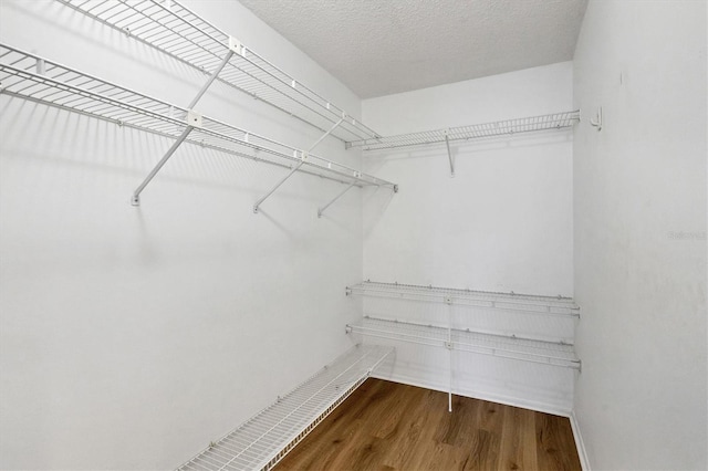 spacious closet featuring hardwood / wood-style floors