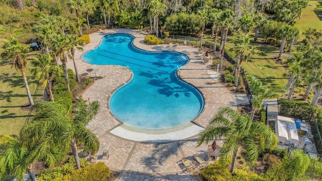 view of swimming pool with a patio