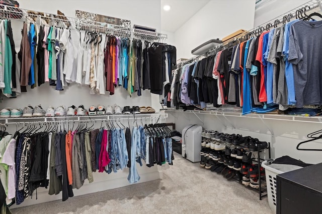 spacious closet featuring carpet