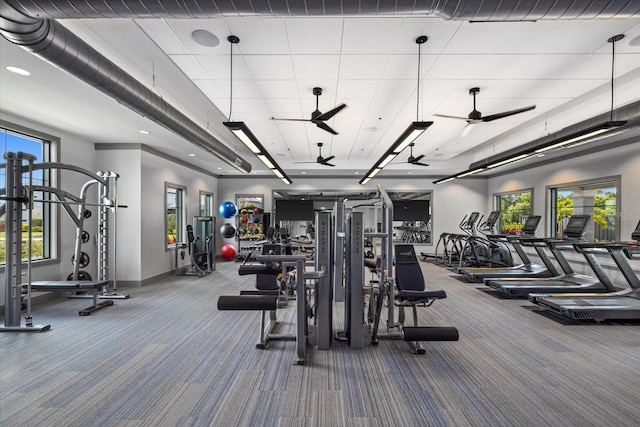 gym featuring ceiling fan and carpet