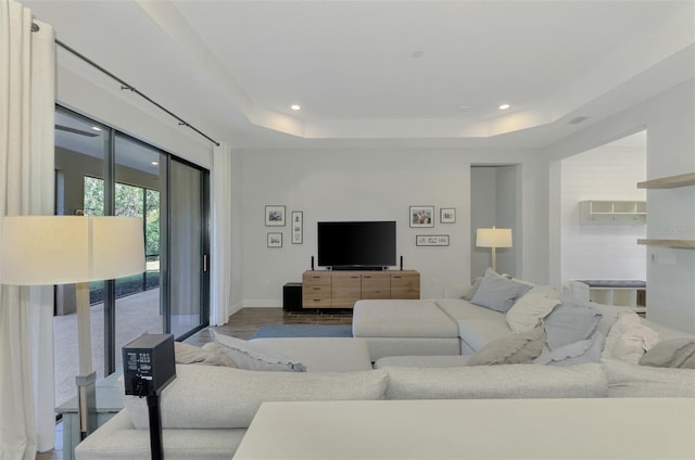 living room featuring a raised ceiling and wood-type flooring