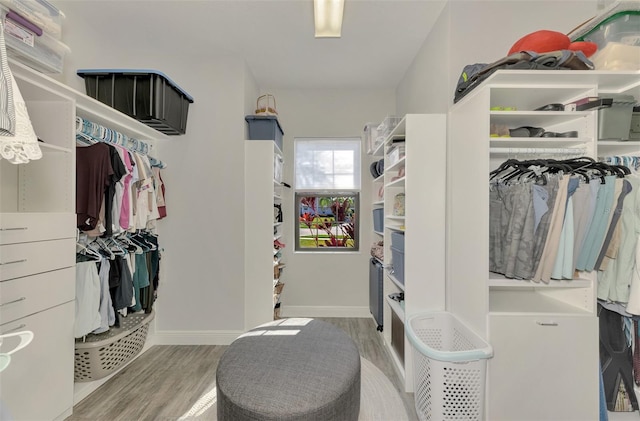 walk in closet with hardwood / wood-style floors