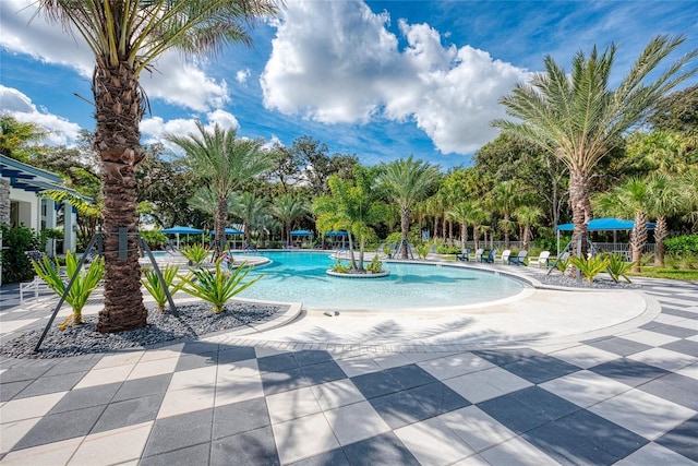 view of swimming pool