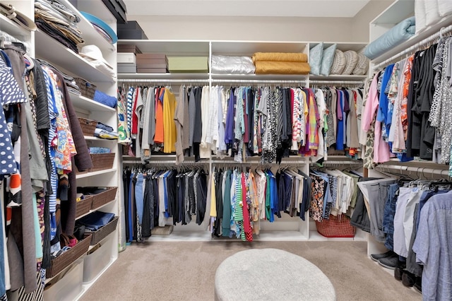 walk in closet with carpet