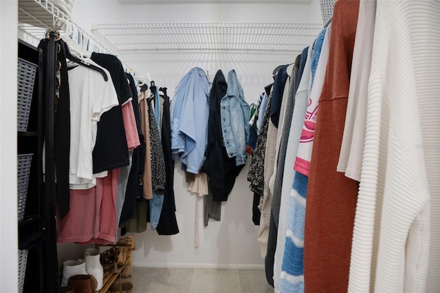 spacious closet featuring carpet floors