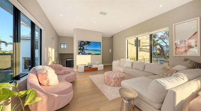 living room with light hardwood / wood-style floors and a wealth of natural light