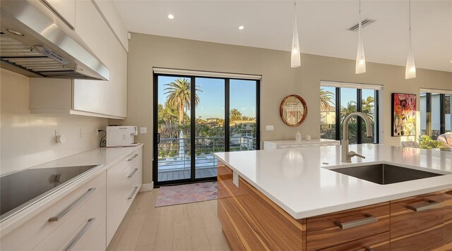 kitchen with under cabinet range hood, visible vents, light countertops, and a sink