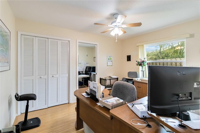 office with ceiling fan and light hardwood / wood-style flooring