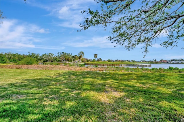 view of yard with a water view