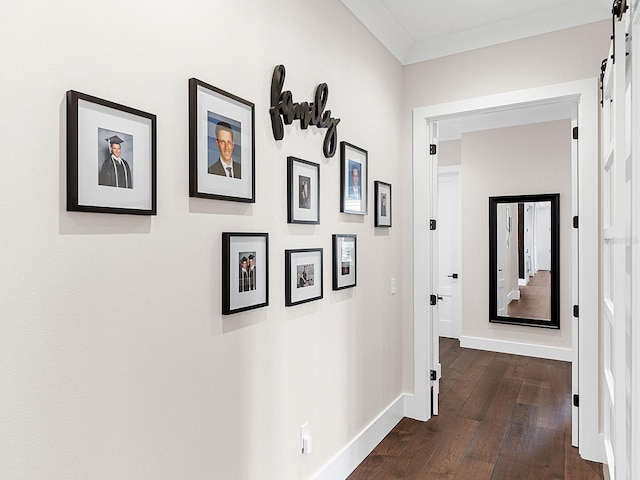 hall with ornamental molding, a barn door, and dark hardwood / wood-style floors