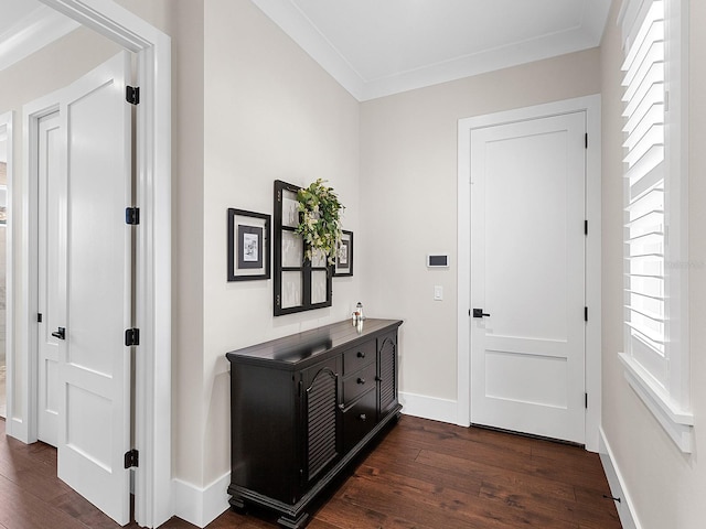 entryway featuring dark wood-type flooring, a wealth of natural light, and crown molding