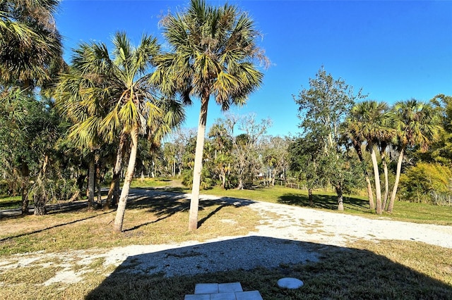 view of property's community with a lawn