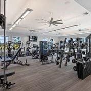 gym featuring ceiling fan and hardwood / wood-style flooring