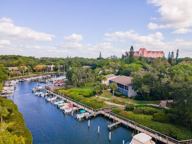 bird's eye view with a water view