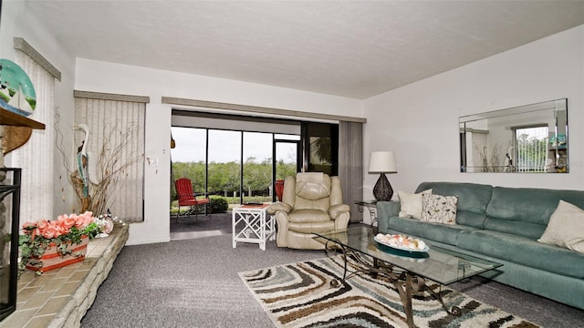 carpeted living room featuring a healthy amount of sunlight