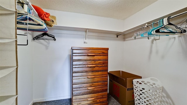 spacious closet with carpet flooring