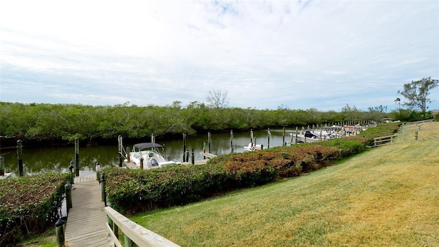 dock area with a yard and a water view