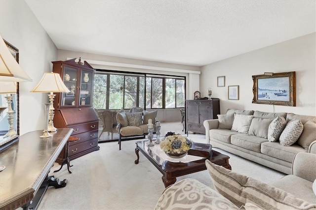 542 Lakeside Dr Unit 542, Bradenton, FL 34210 - living area featuring carpet flooring and a textured ceiling