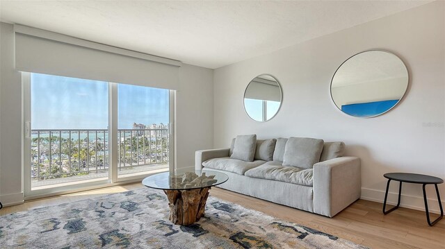 living room featuring light hardwood / wood-style floors