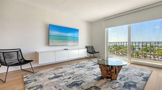 sitting room featuring light hardwood / wood-style floors and plenty of natural light